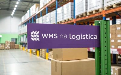 O que é WMS na logística para e-commerce