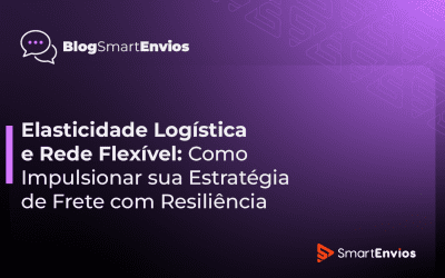 Elasticidade Logística e Rede Flexível: Como Impulsionar sua Estratégia de Frete com Resiliência